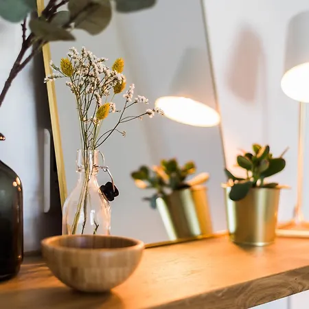 Apartment Luckey Homes - Rue De La Faiencerie Bordeaux
